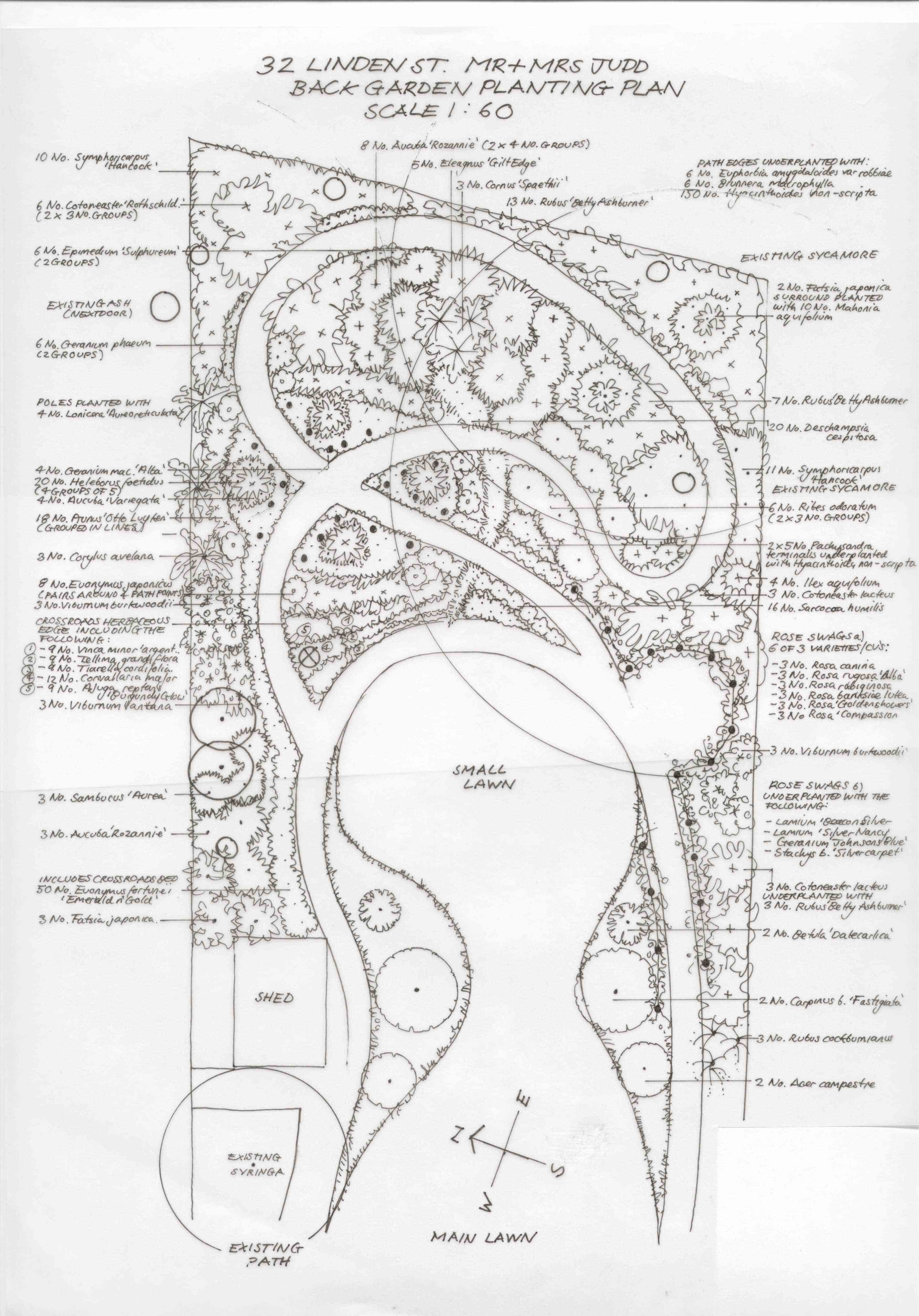 Shady garden black and white planting plan